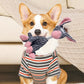 Corduroy Plush Chew Toy For Dogs
