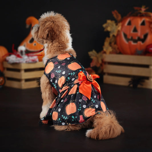 Pet Halloween Dress