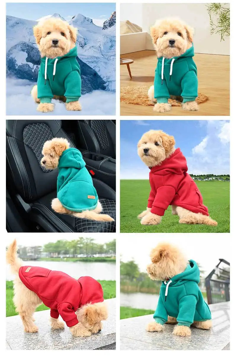 Pet Hoodie Small And Medium Dogs