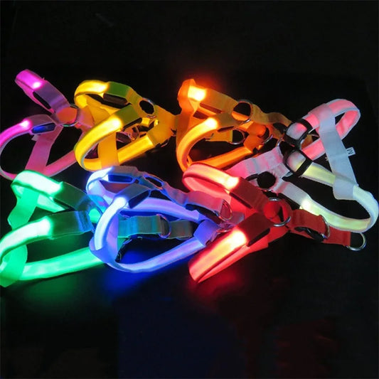 Pet LED Lumious Harness