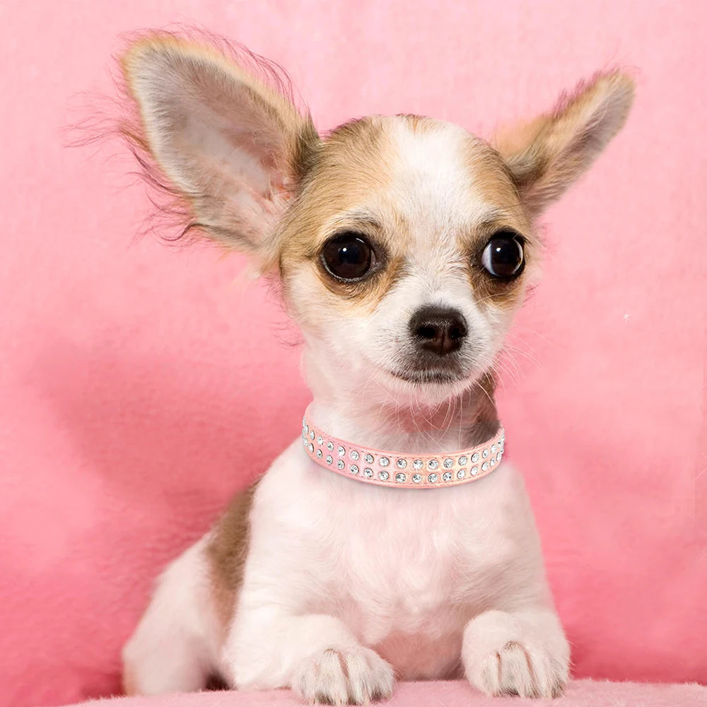 Rhinestone Dog Collar For Small and Medium Dogs