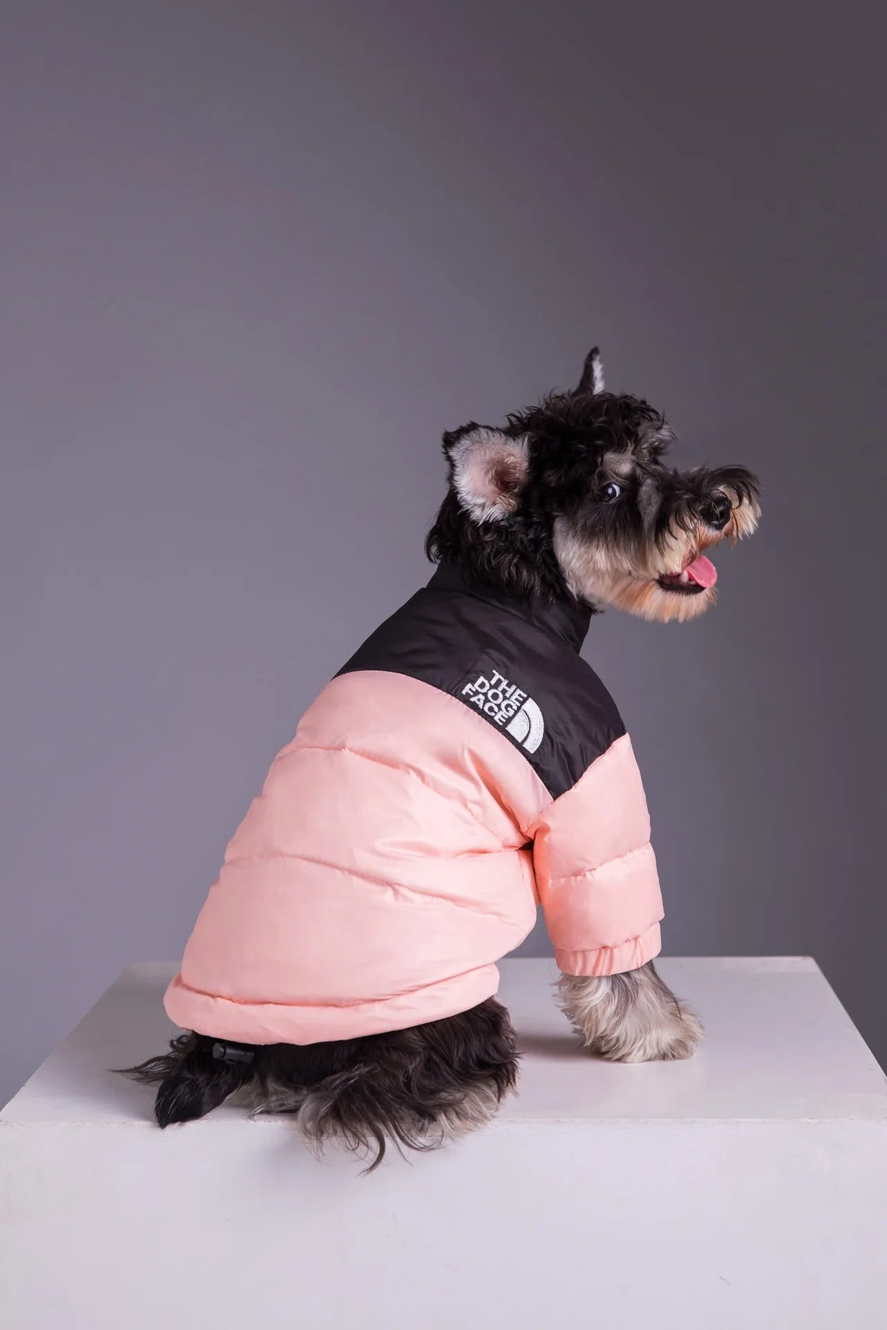 DOG FACE Warm Winter Dog Jacket