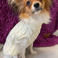 Warm Pet Turtleneck Knit Sweater for small dogs