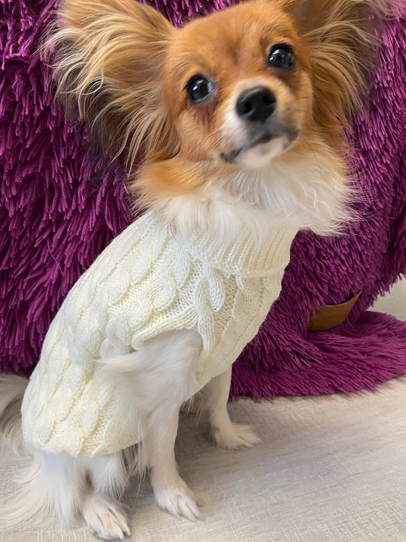 Warm Pet Turtleneck Knit Sweater for small dogs