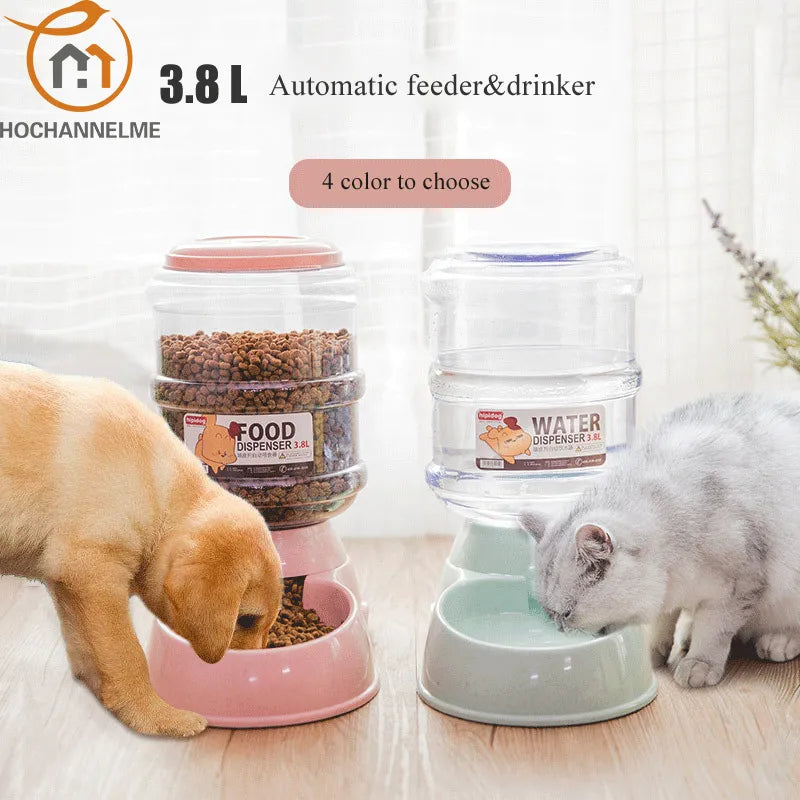 Pet Water Dispenser & Automatic Feeder