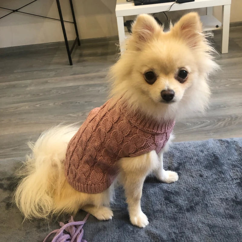 Warm Pet Turtleneck Knit Sweater for small dogs