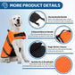 Dogs Life Jacket XXS-XL