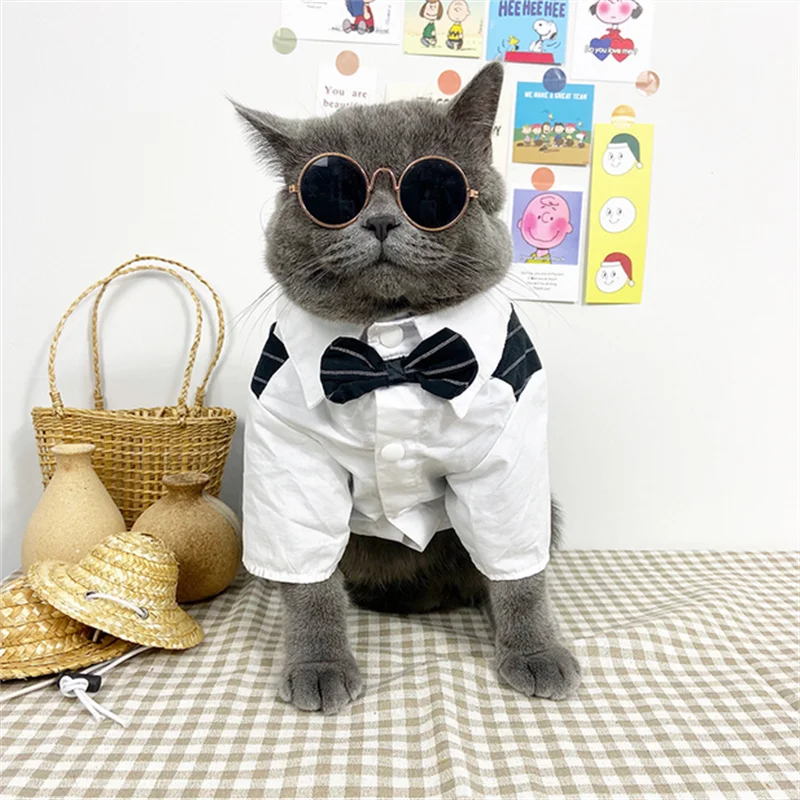 Tuxedo Bow Tie Suit