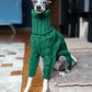 Green turtleneck thickened pet sweater