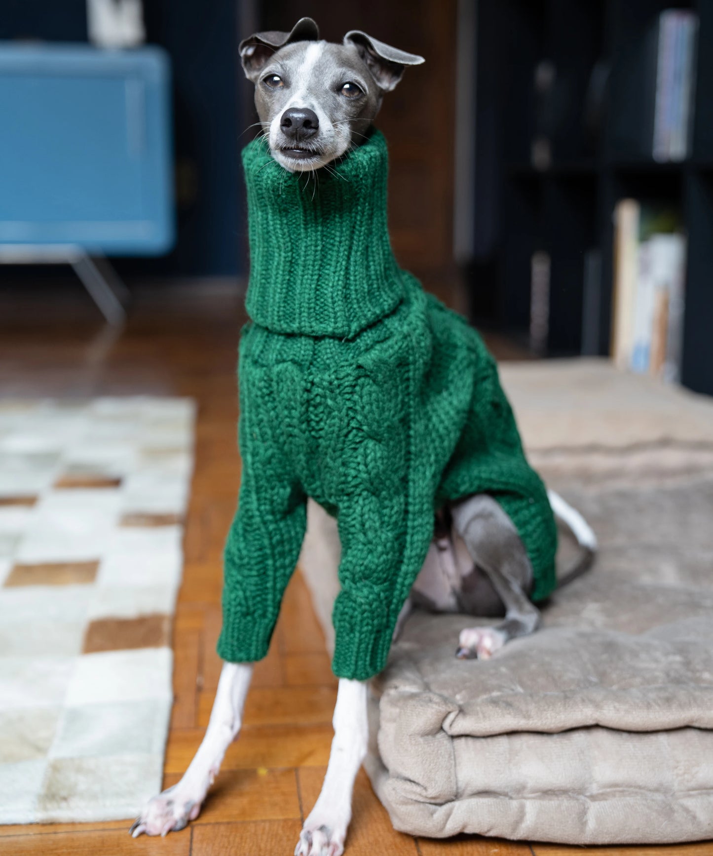 Green turtleneck thickened pet sweater