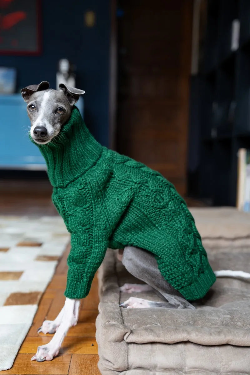 Green turtleneck thickened pet sweater