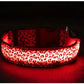 Light Up Dog Collar LED Night Walking Glow Leopard Print