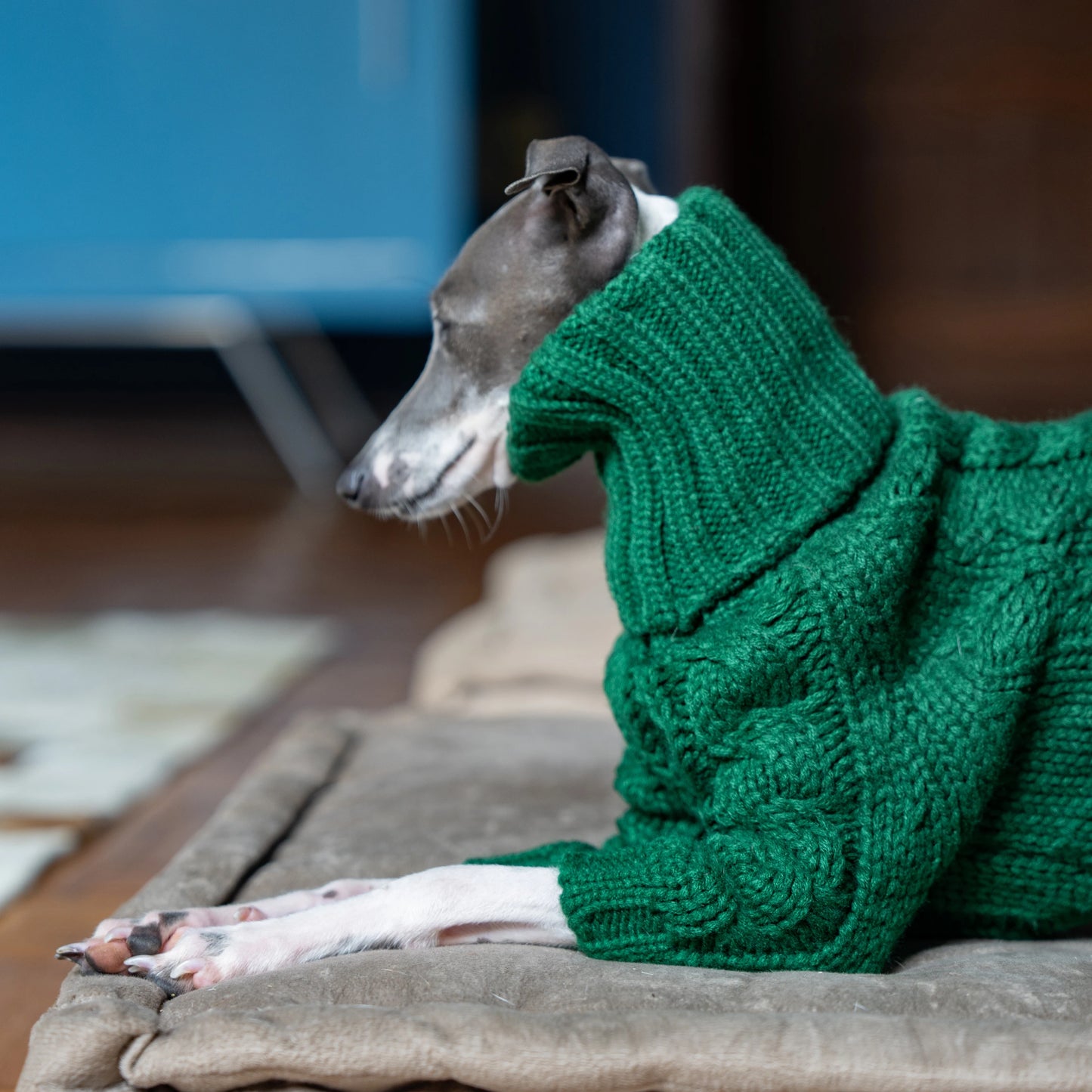 Green turtleneck thickened pet sweater