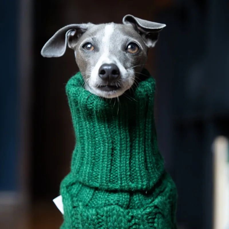 Green turtleneck thickened pet sweater