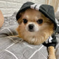 Adidog Dog Hoodies Small and Large Breeds