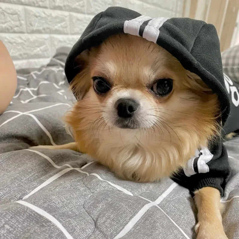 Adidog Dog Hoodies Small and Large Breeds