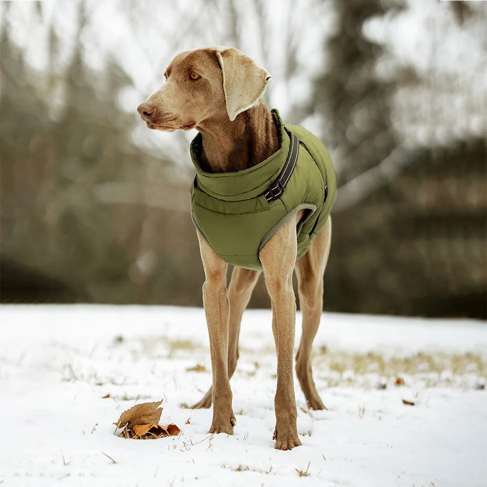 Waterproof Warm Dog Jacket Vest Winter Dog Clothes With Harness