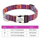 Personalized Pet Collar Nylon