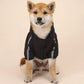 Winter Waterproof Jacket for Small and Large Dogs