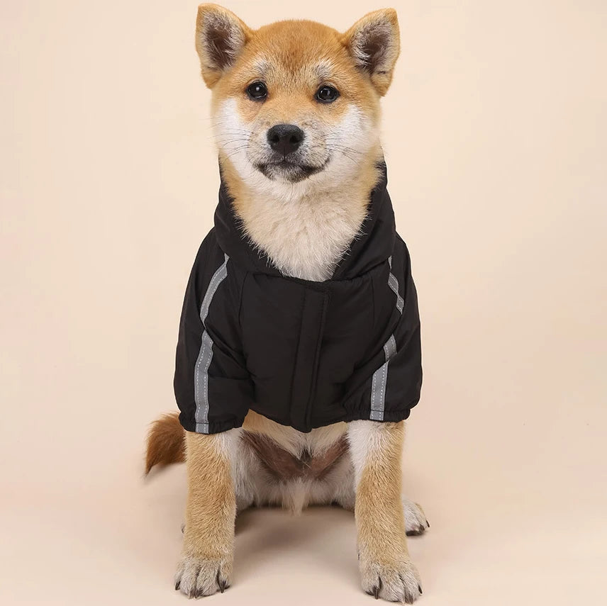 Winter Waterproof Jacket for Small and Large Dogs