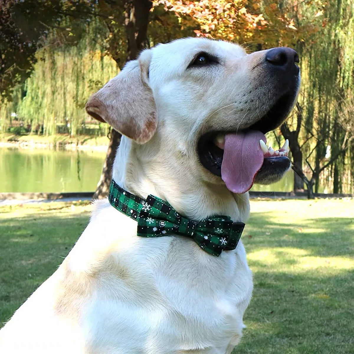 Christmas Plaid Snowflake Dog Collar with Bow Tie