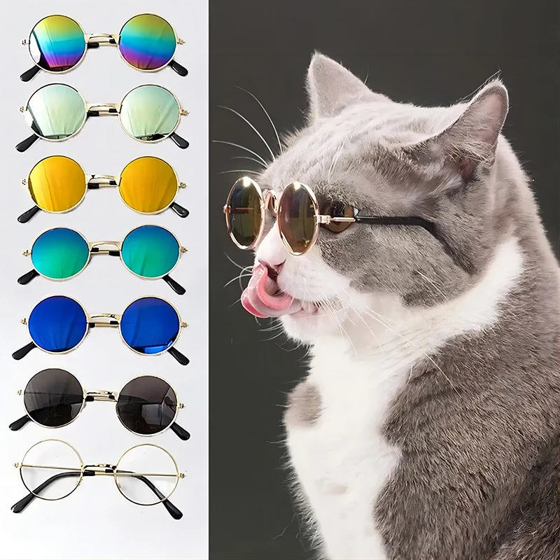 Cat and small dog sunglasses costume accessory