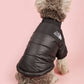 Dogs Snow Jacket
