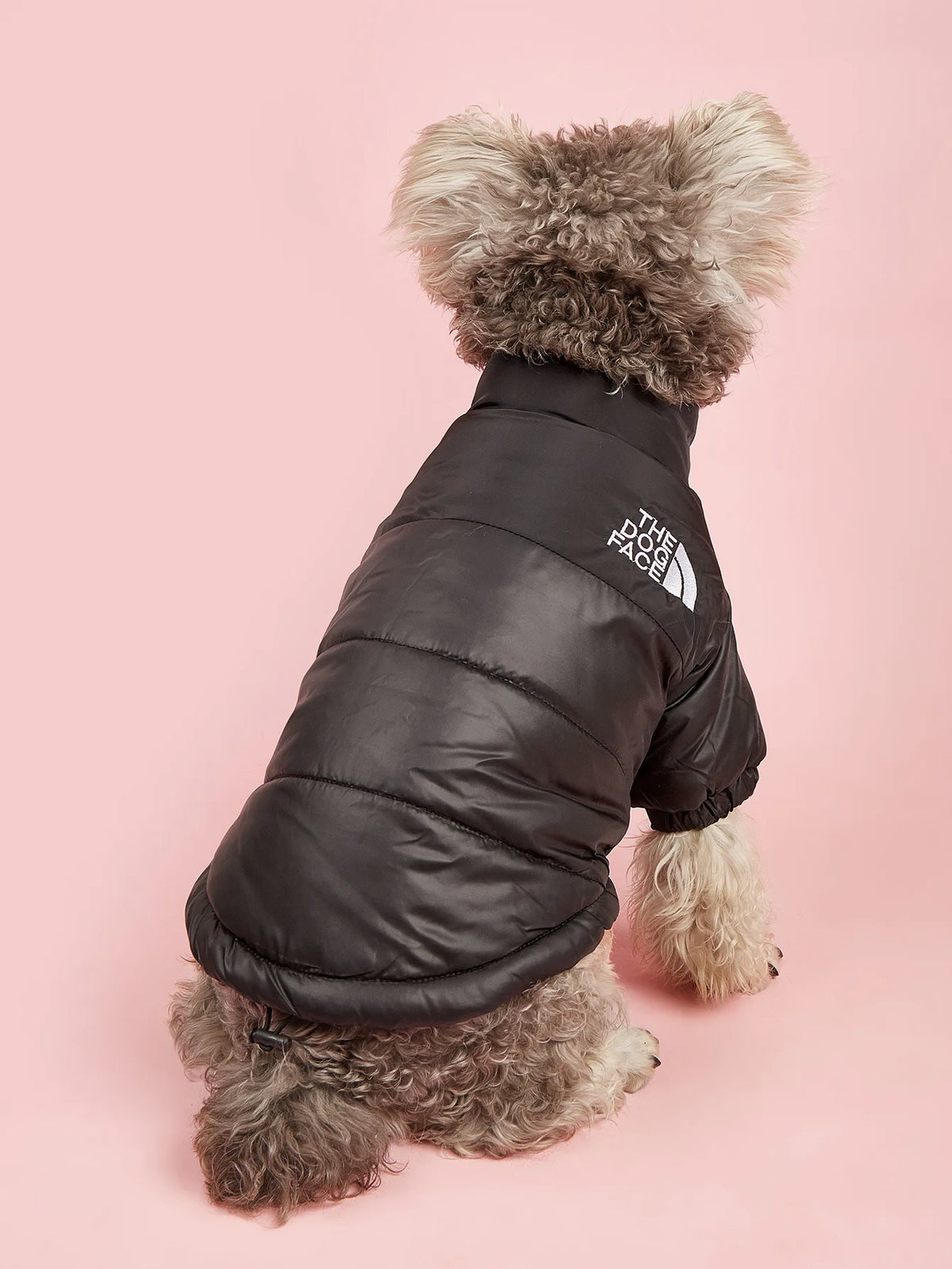 Dogs Snow Jacket