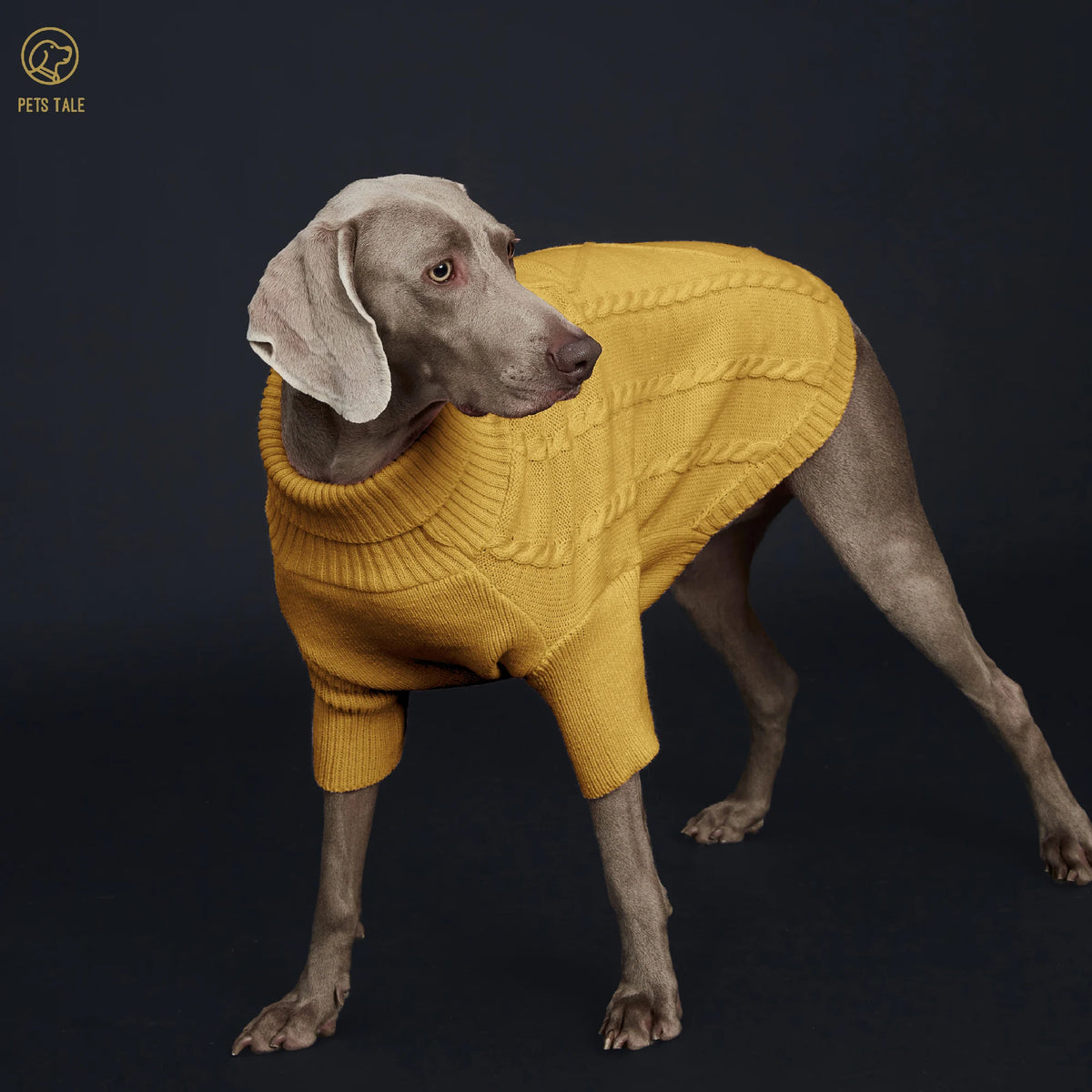 Sweater with Sleeves, Cable Knit, and D-ring Hole Detail for Small and Large Dogs