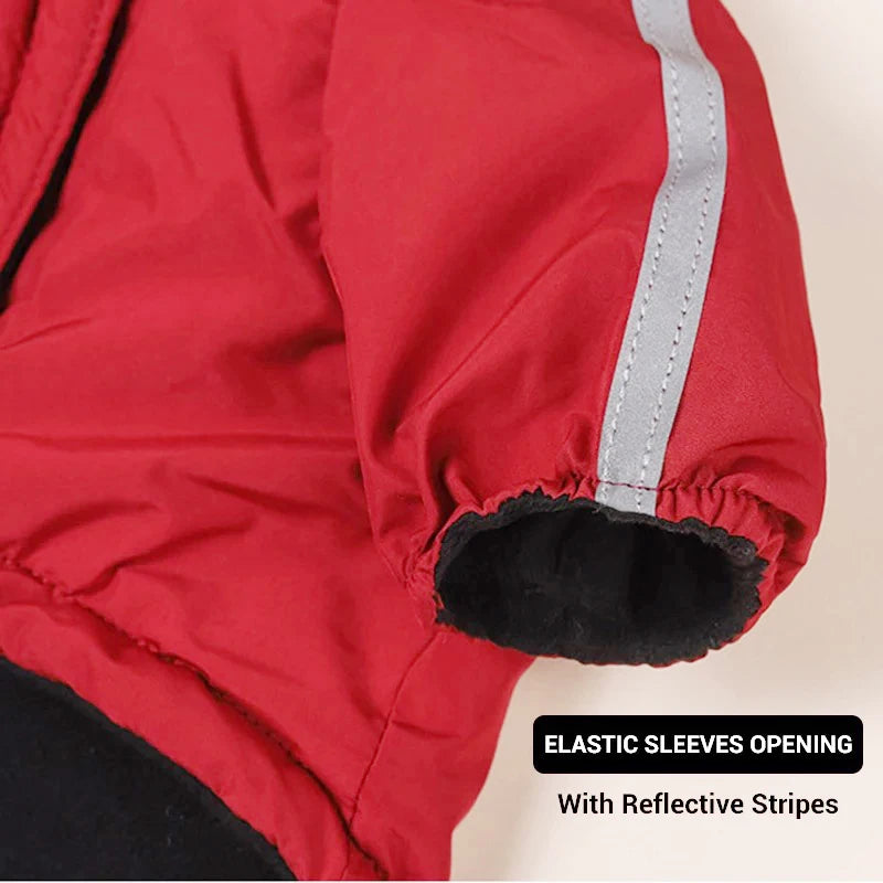 Winter Waterproof Jacket for Small and Large Dogs