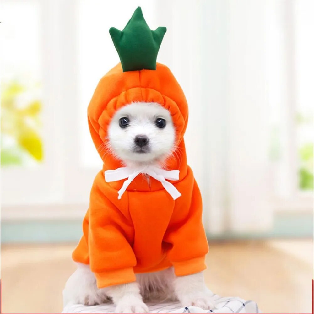 Pet Hoodie Halloween & Christmas Costumes