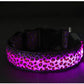 Light Up Dog Collar LED Night Walking Glow Leopard Print