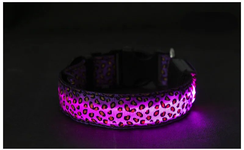 Light Up Dog Collar LED Night Walking Glow Leopard Print