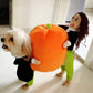 Halloween Pet Cosplay Costumes Sets