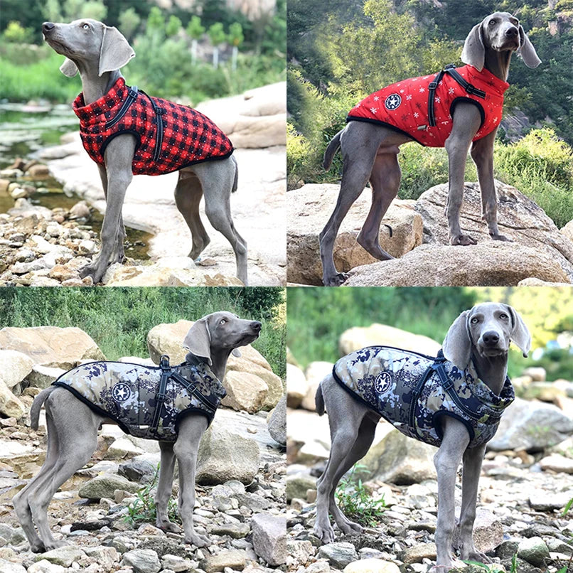 Winter Pet Vest with Harness for Cats & Dogs