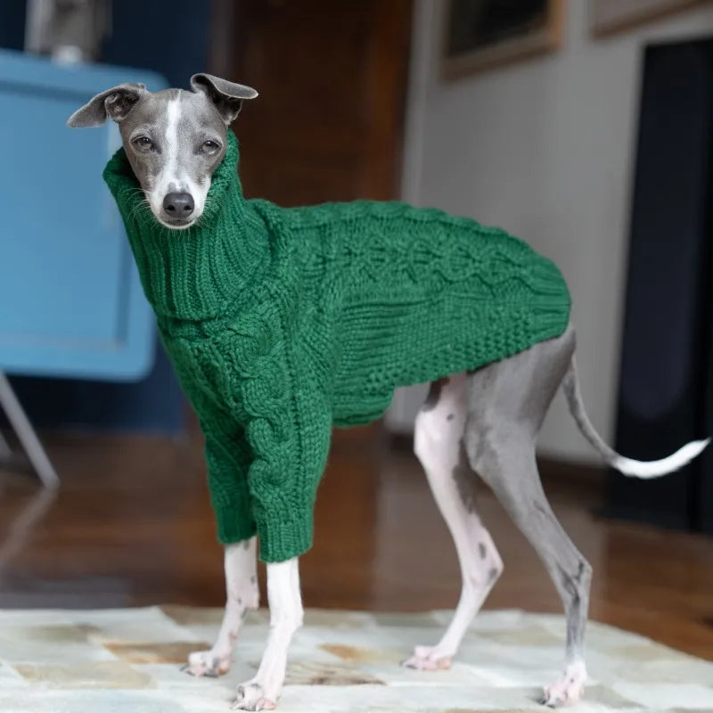 Green turtleneck thickened pet sweater