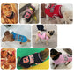 Breathable Sport Dog Jersey