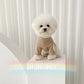 Fashion Winter Pet Clothes Solid Color Cotton