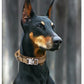 Heavy Duty Tactical Dog Collar with Handle