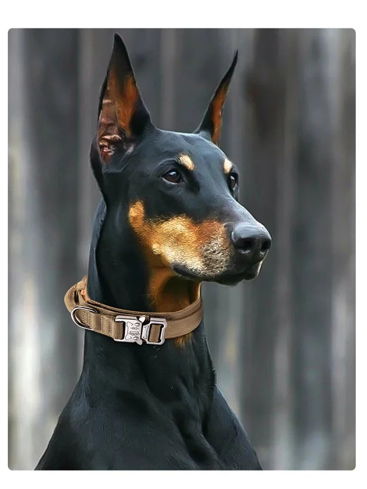 Heavy Duty Tactical Dog Collar with Handle