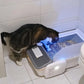 Self-cleaning Open Cat Litter Box Automatic Intelligent