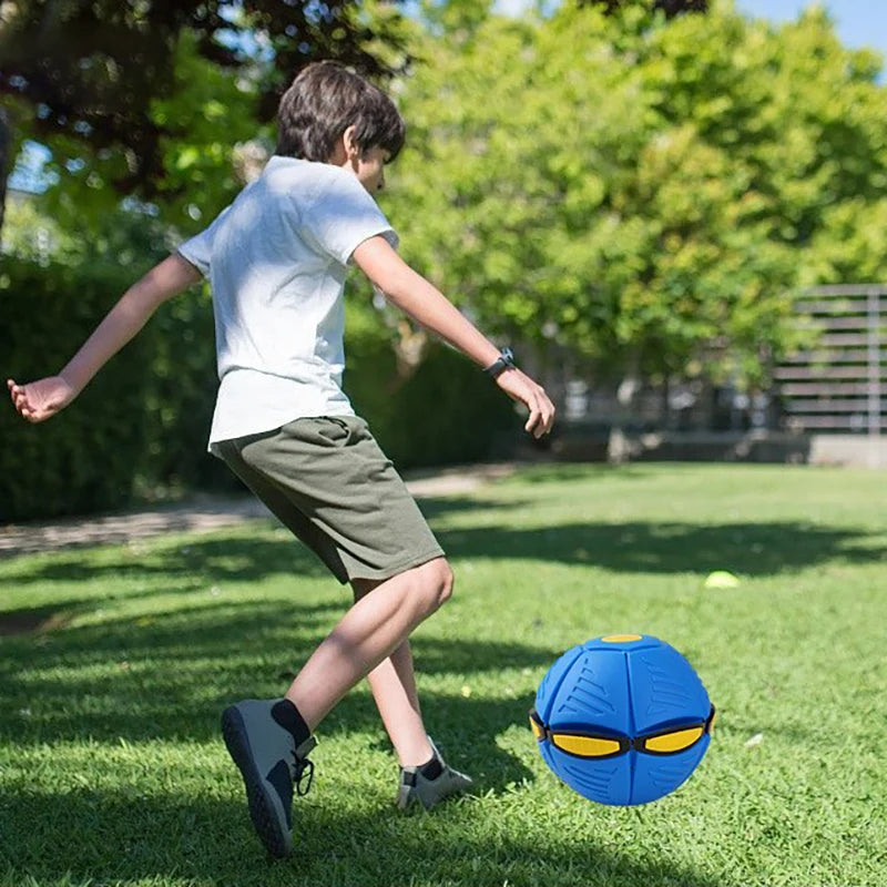 Pet Flying Saucer Ball