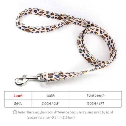 Personalized Dog Collar and Matching Leash