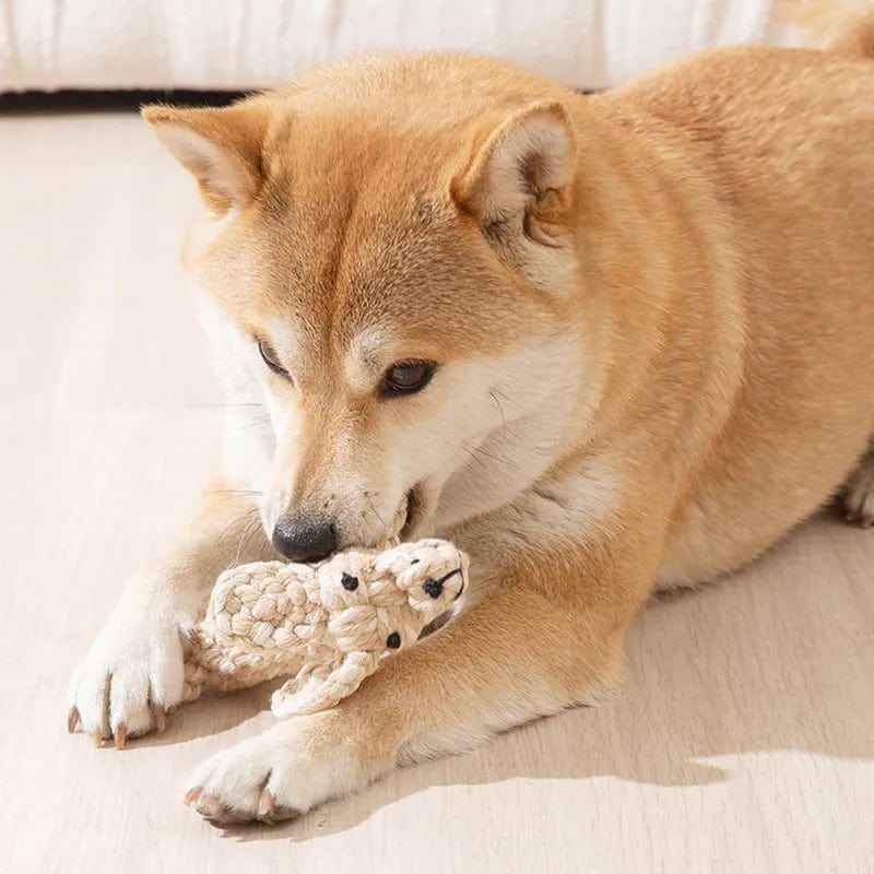 Handmade Cotton Rope Teeth Cleening Chew Toy for Dogs