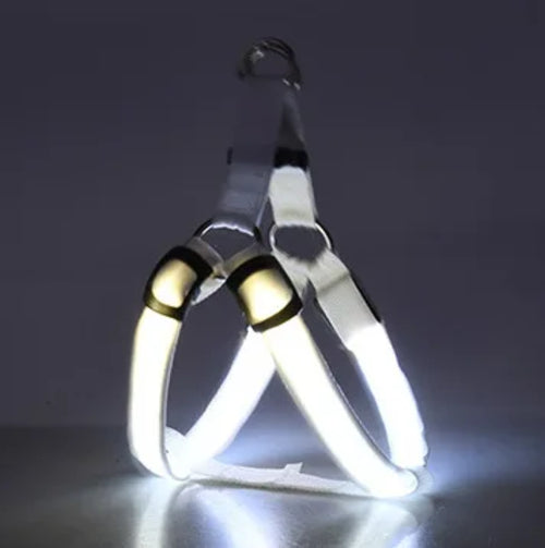 Pet LED Lumious Harness