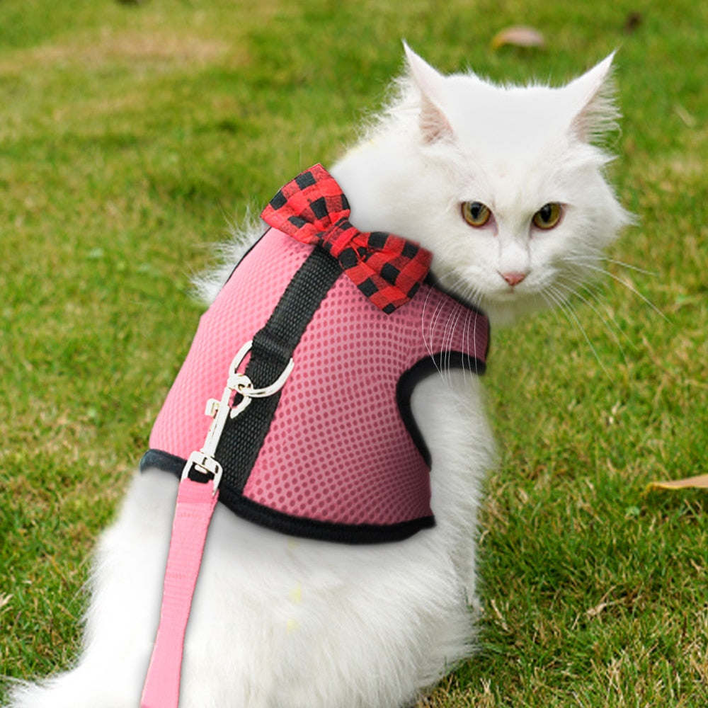 Pet Harness & Leash Set; For Small Dogs & Cats