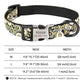 Personalized Dog Collar and Matching Leash