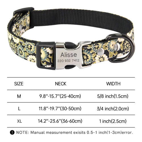 Personalized Dog Collar and Matching Leash