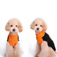 Luxery Pet Halloween Sweater