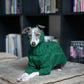 Green turtleneck thickened pet sweater